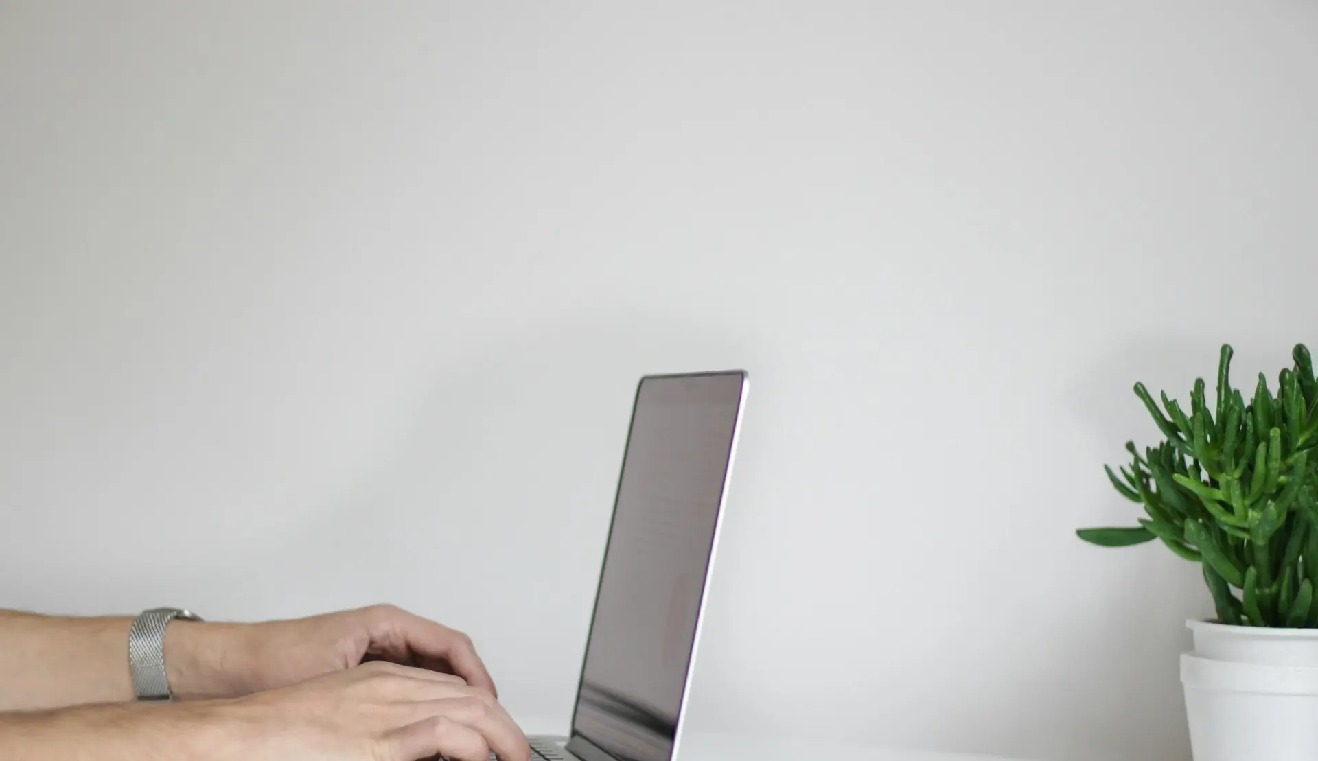 person using laptop
